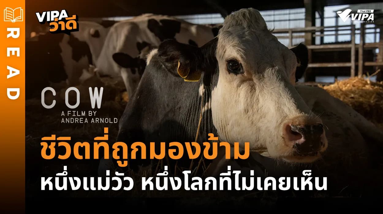 Related Article Thumbnail