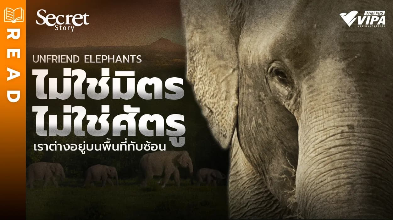 Related Article Thumbnail