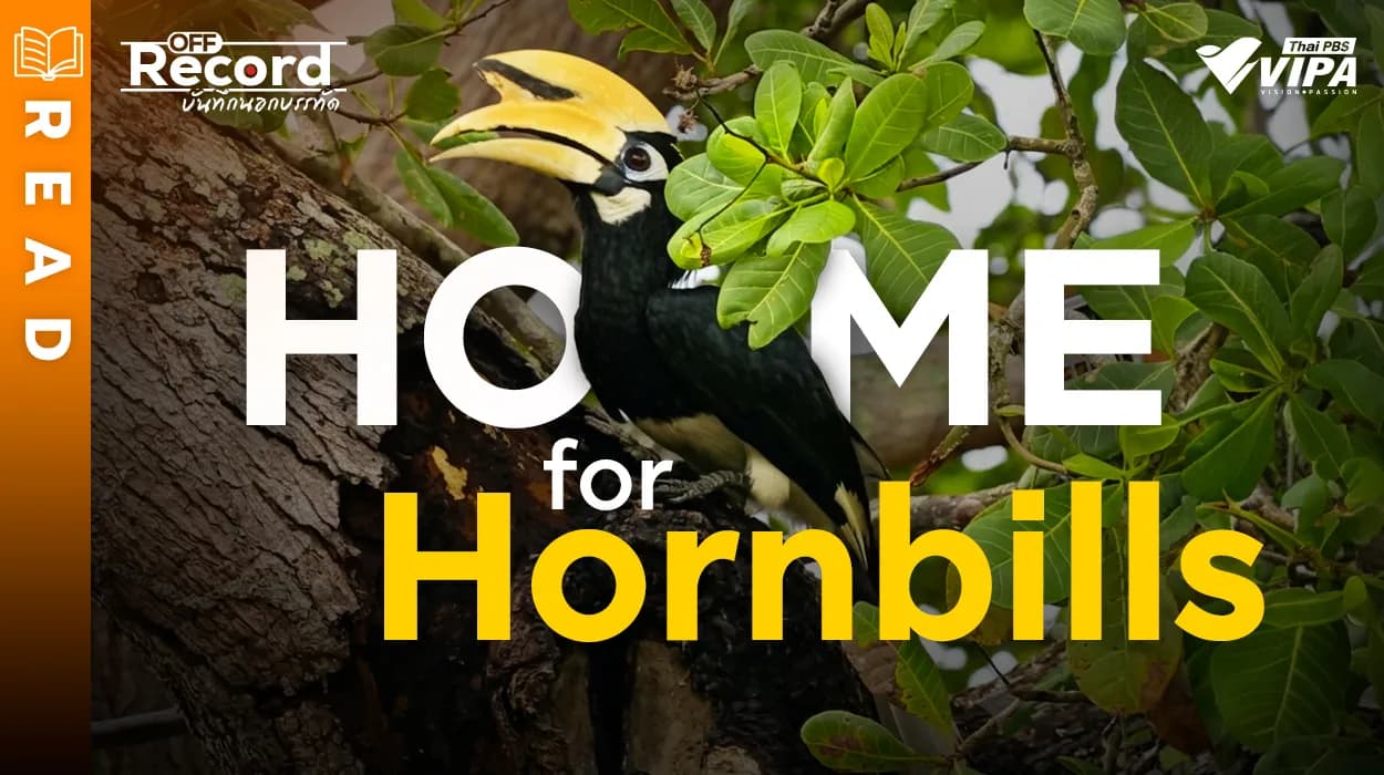 Related Article Thumbnail