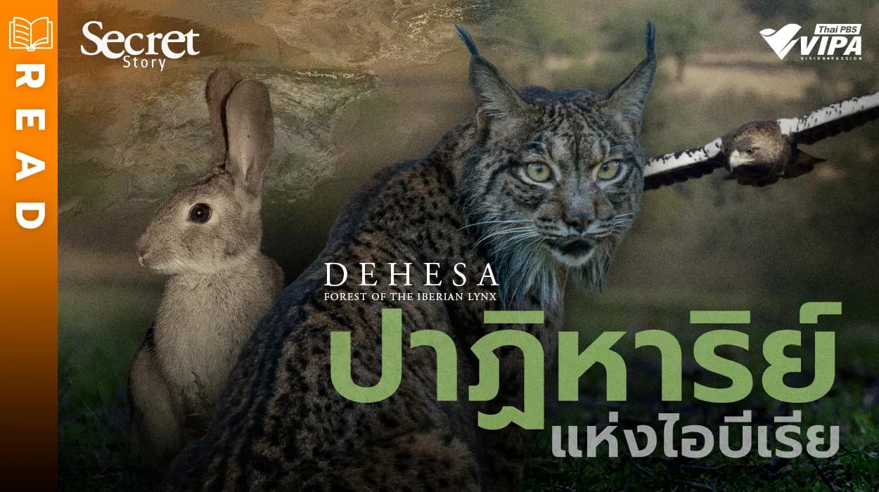Related Article Thumbnail