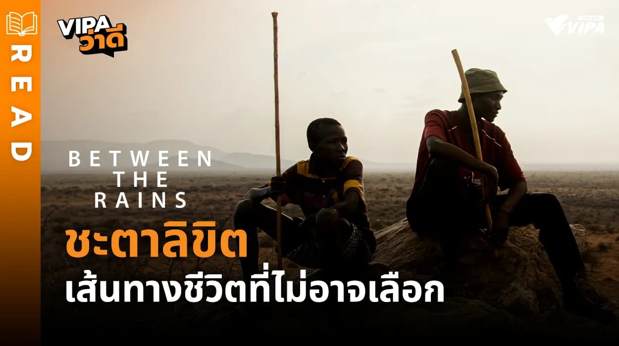 Related Article Thumbnail